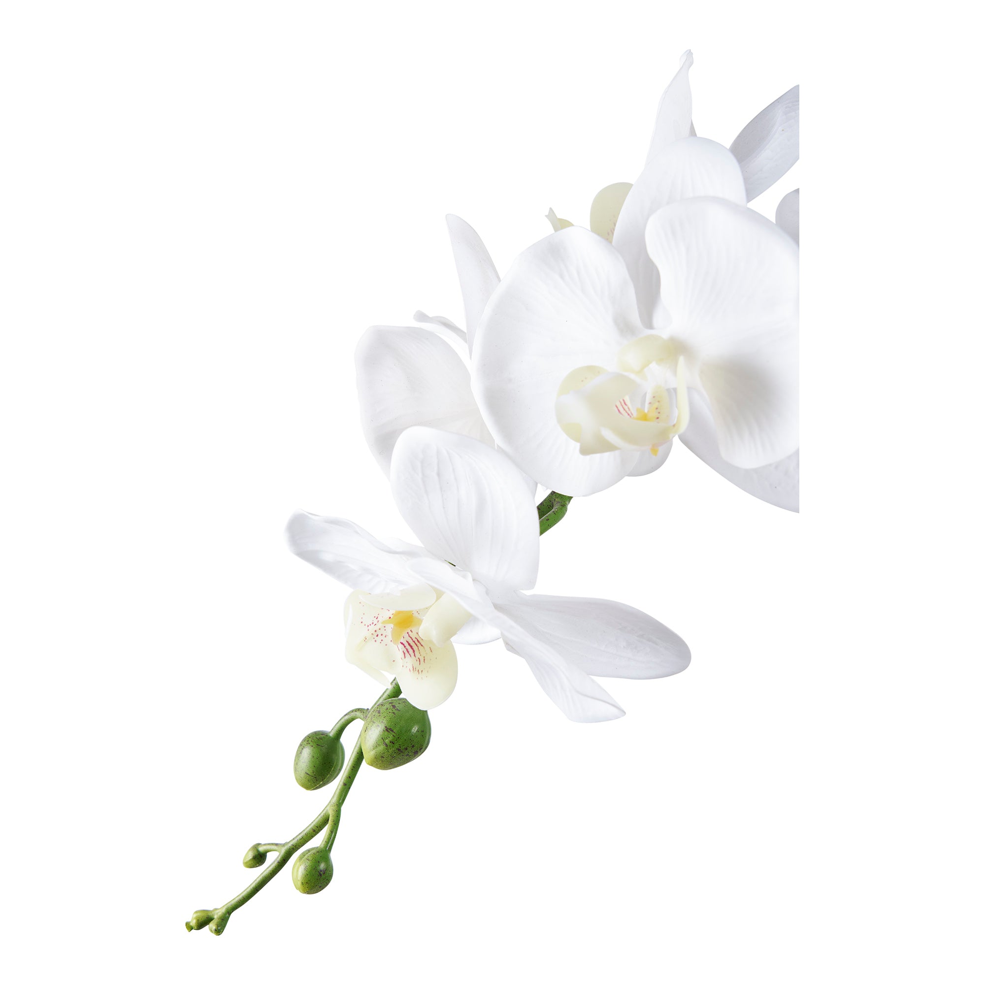 Orchidée artificielle
