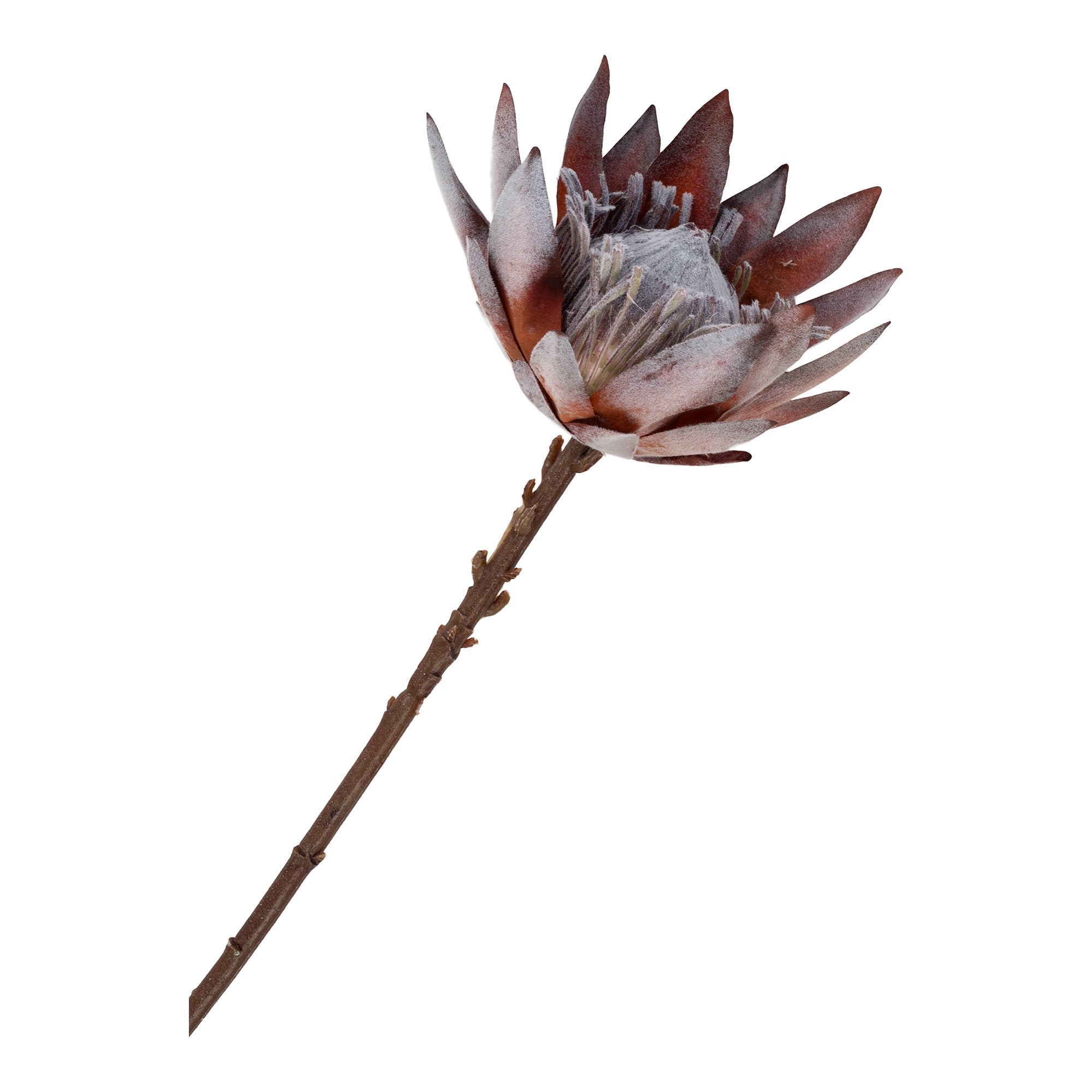 Künstlicher Strauß rosa Protea